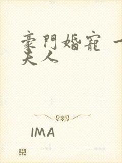 豪门婚宠 一品夫人