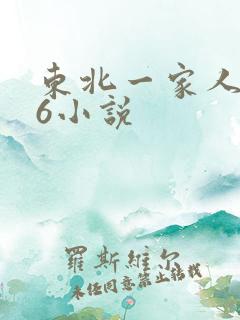 东北一家人1一6小说