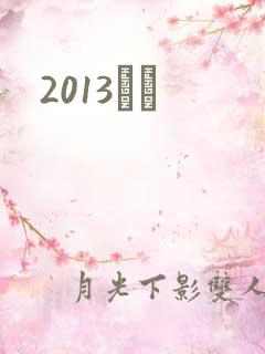 2013С˵