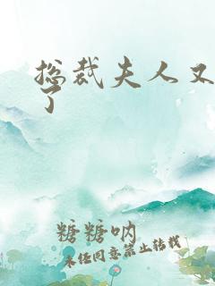 总裁夫人又征婚了