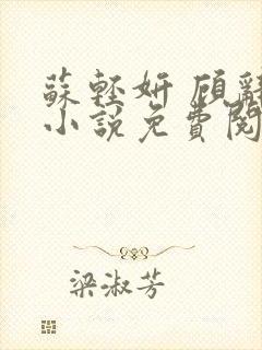 苏轻妍 顾辞笙小说免费阅读