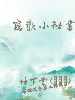 窃欢小秘书