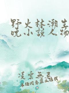 野火林潮生林晚晚小说人物野火