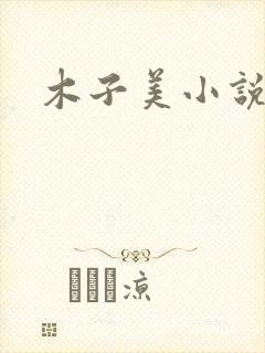 木子美小说