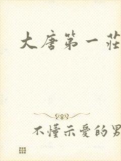 大唐第一庄