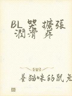 BL 哭 扩张 润滑 疼