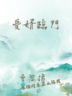 爱婿临门
