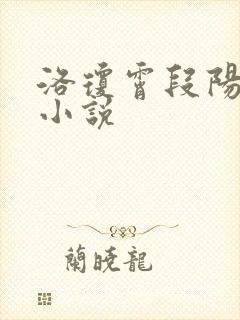 洛琼霄段阳澍的小说