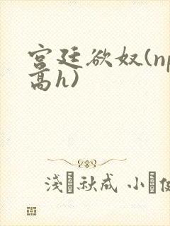 宫廷欲奴(np高h)