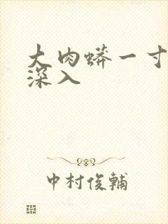 大肉蟒一寸寸地深入