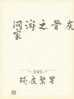 网游之骨灰级玩家