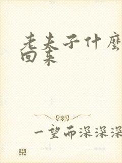 老夫子什么时候回来