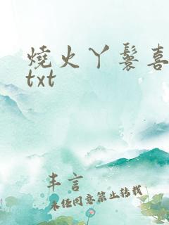 烧火丫鬟喜洋洋txt