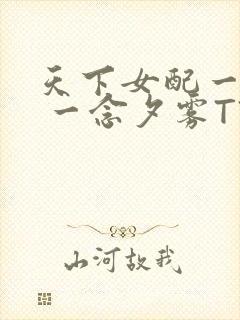 天下女配一般湿 一念夕雾TXT