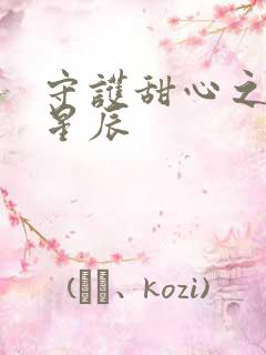 守护甜心之暗夜星辰