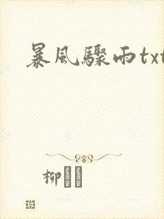 暴风骤雨txt