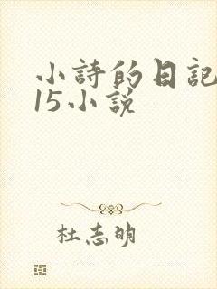 小诗的日记1一15小说