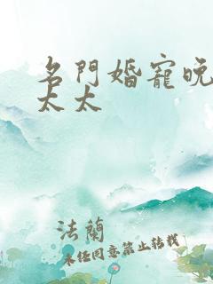 名门婚宠晚安赫太太