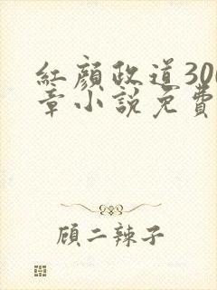 红颜政道300章小说免费阅读