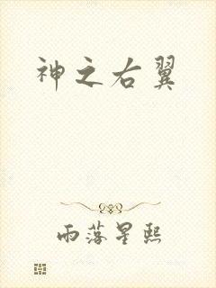 神之右翼