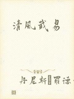 清风武易