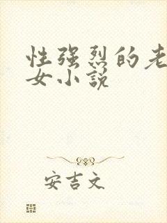 性强烈的老年妇女小说