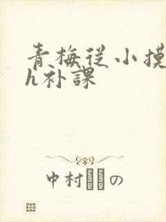 青梅从小摸到大h补课