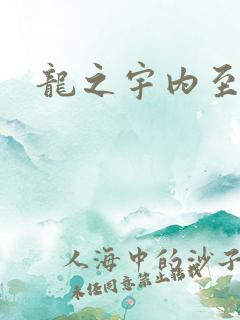 龙之宇内至尊