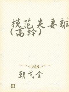 模范夫妻离婚了(高干)