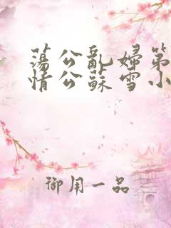 荡公乱妇第1章情公苏雪小说