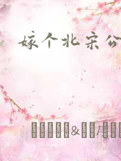 嫁个北宋公务员