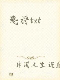 飞将txt