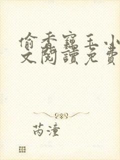 偷香窃玉小说全文阅读免费