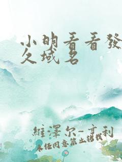 小明看看发布永久域名