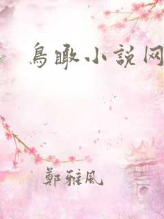 鸟瞰小说网