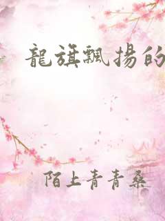 龙旗飘扬的舰队