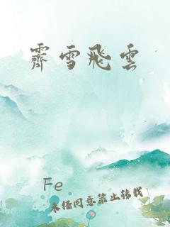 霁雪飞云