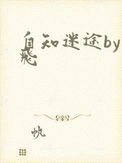 自知迷途by二飞