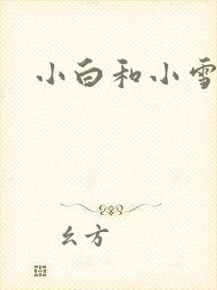 小白和小雪