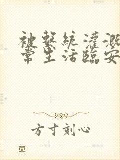 被系统灌溉的日常生活临安