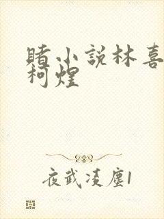 赌小说林喜朝和柯煜