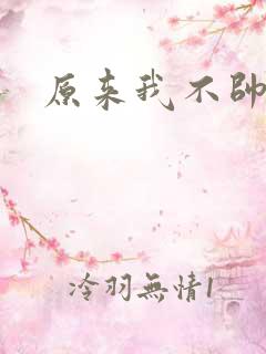 原来我不帅小说