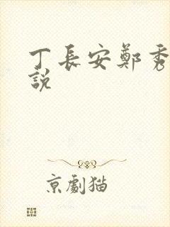 丁长安郑秀兰小说