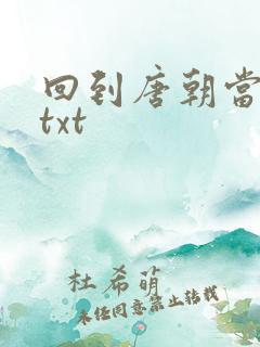 回到唐朝当皇帝txt