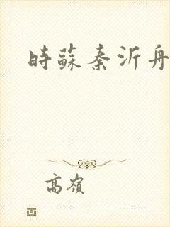 时苏秦沂舟小说