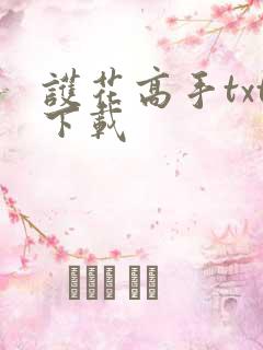 护花高手txt下载