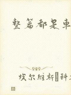 整篇都是车的肉