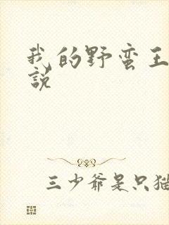 我的野蛮王妃小说