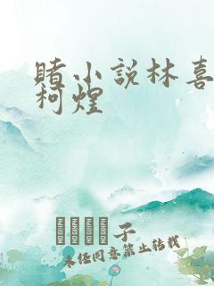 赌小说林喜朝和柯煜