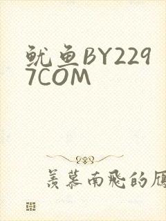 鱿鱼BY2297COM